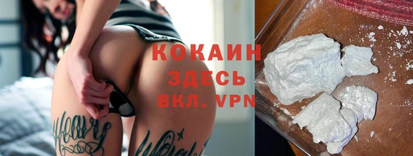 героин Богданович