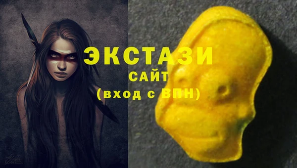 гидра Богородск