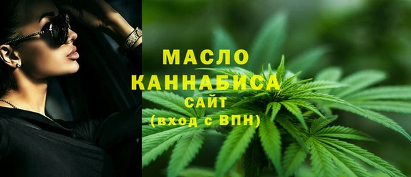 гидра Богородск