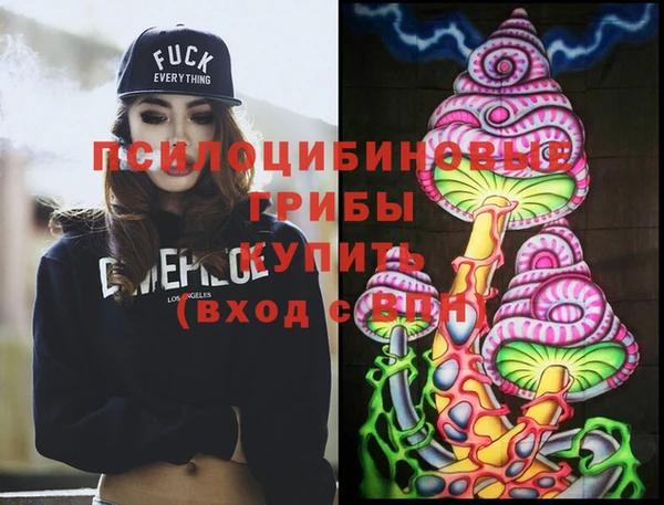 мдпв Верея