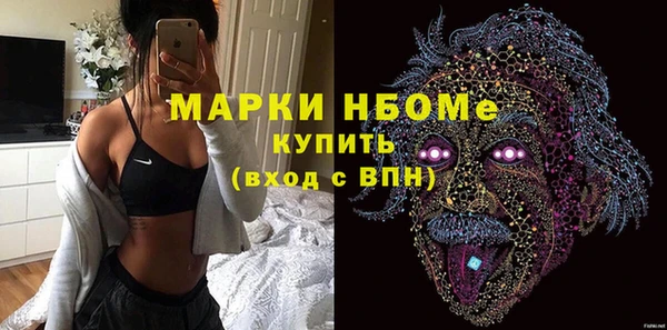 гидра Богородск