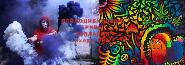 мдпв Верея