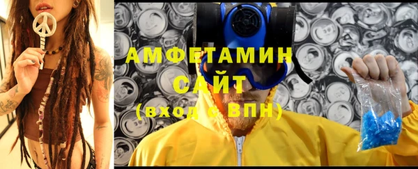 мдпв Верея