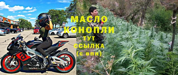 гидра Богородск