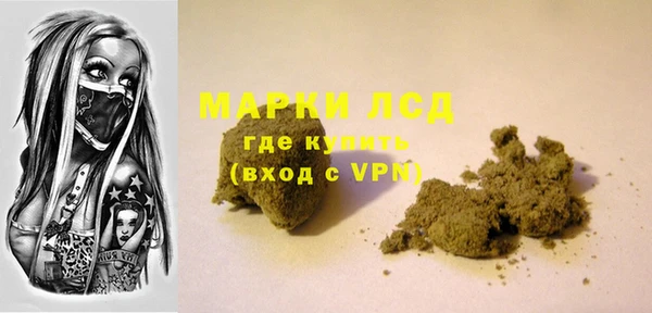 мдпв Верея